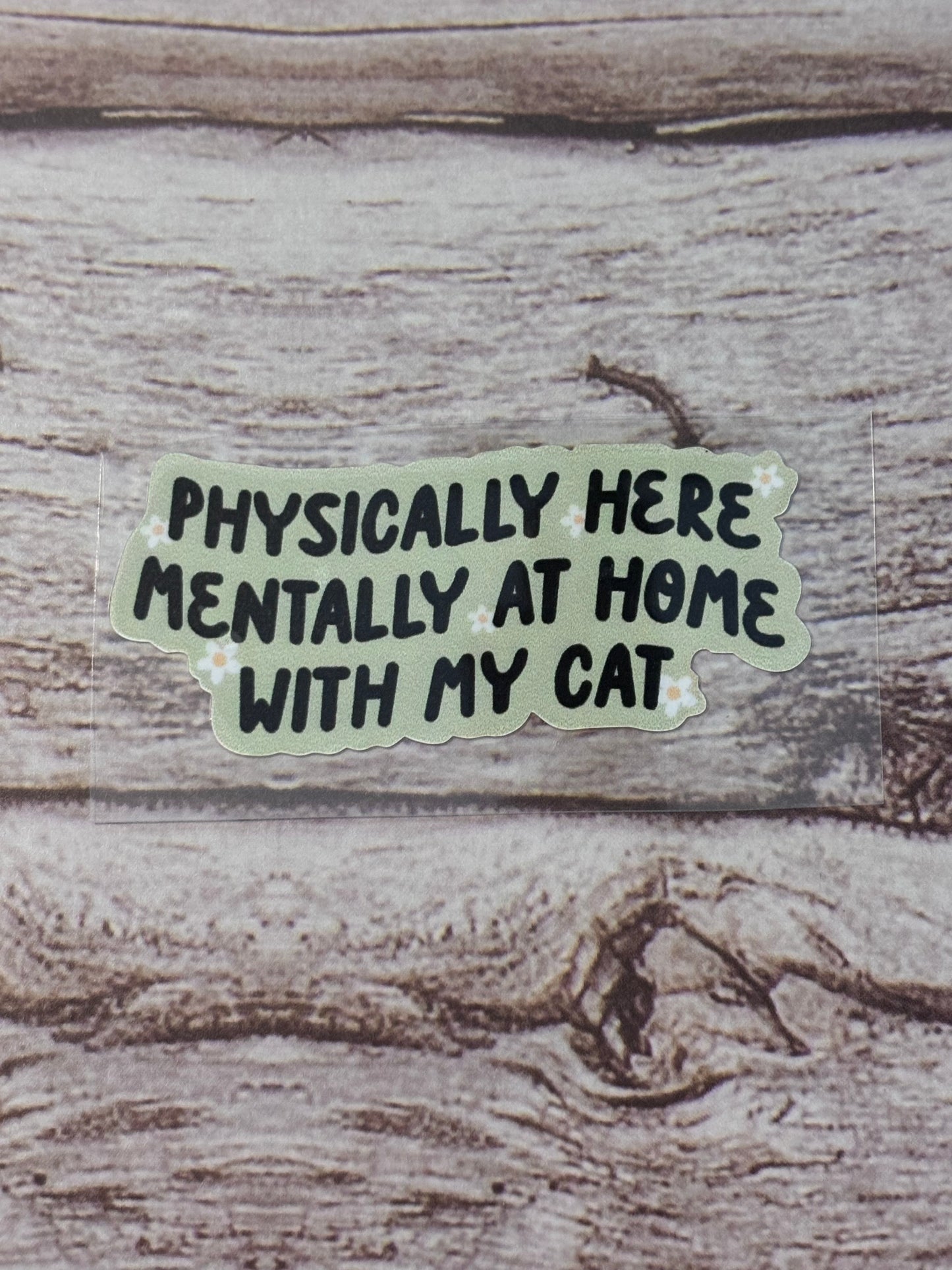 Physically here, mentally home with cat