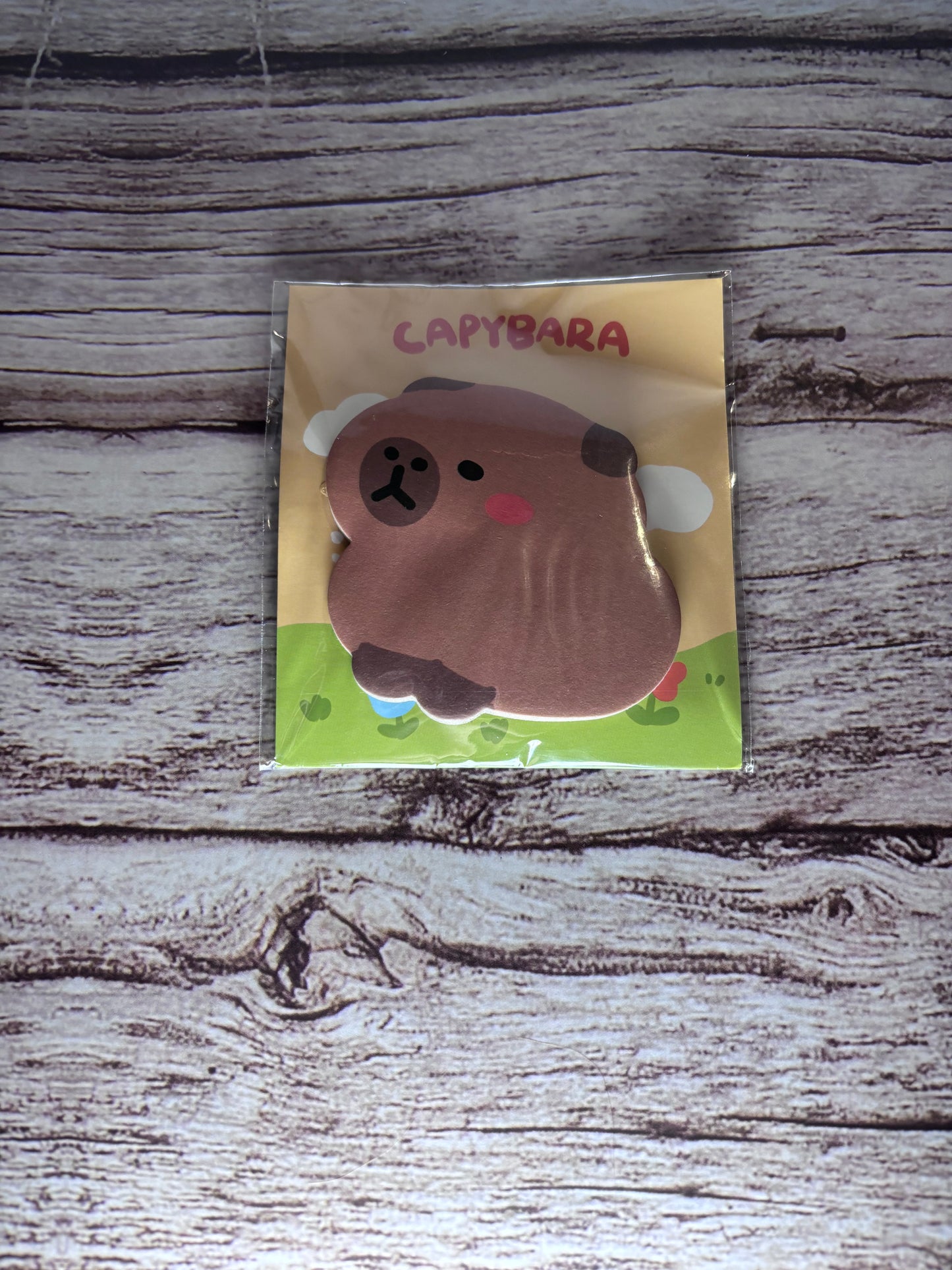 Capybara Sticky Notes