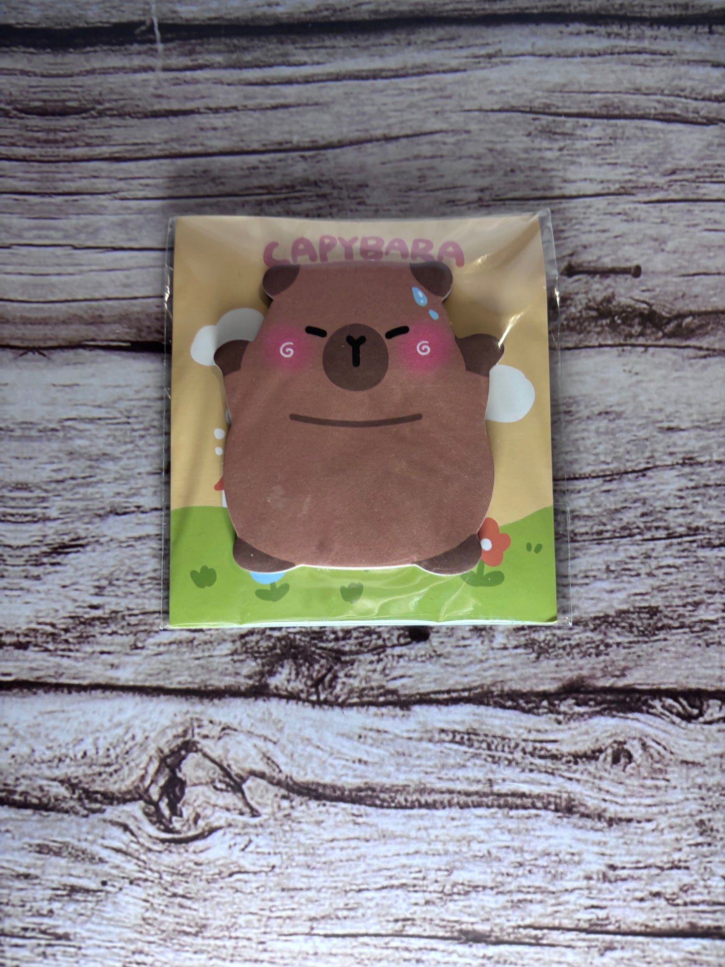 Capybara Sticky Notes